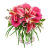 Pink blooms
