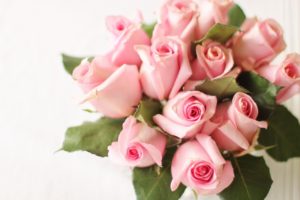 roses, pink, pink roses-2039184.jpg