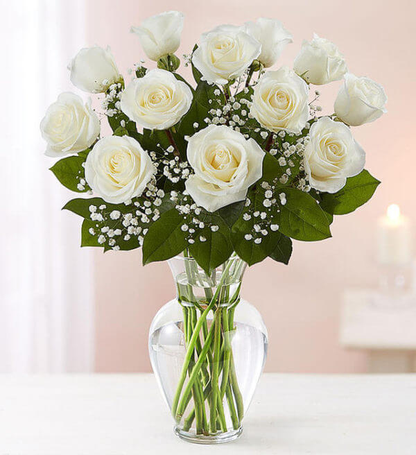 White Roses