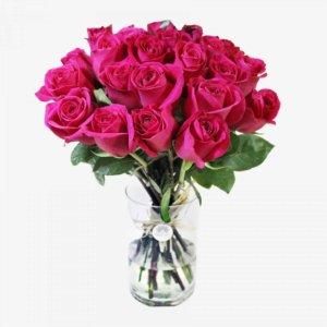 25 Pink roses