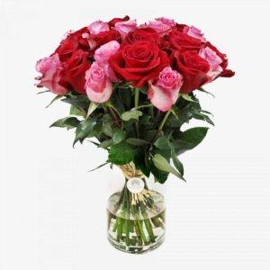 25 red and pink roses