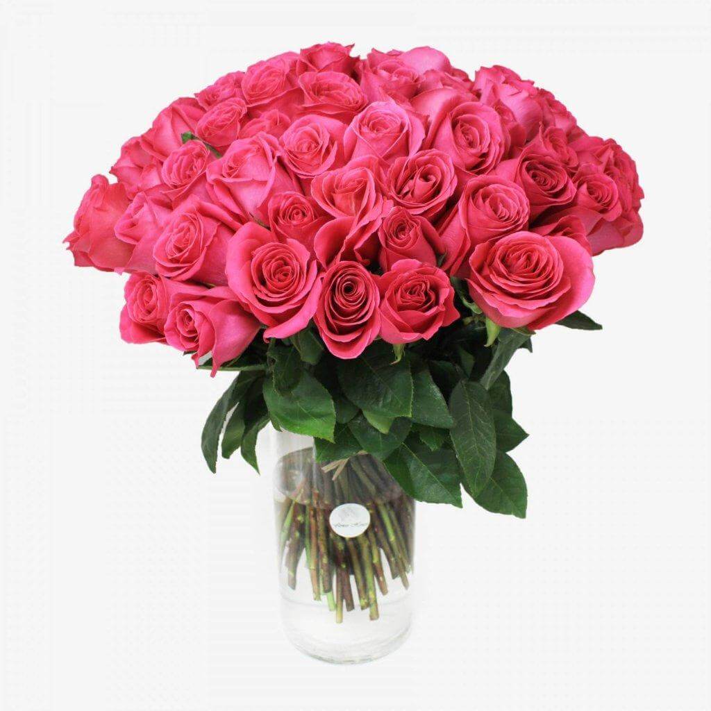 75 pink roses bouquet