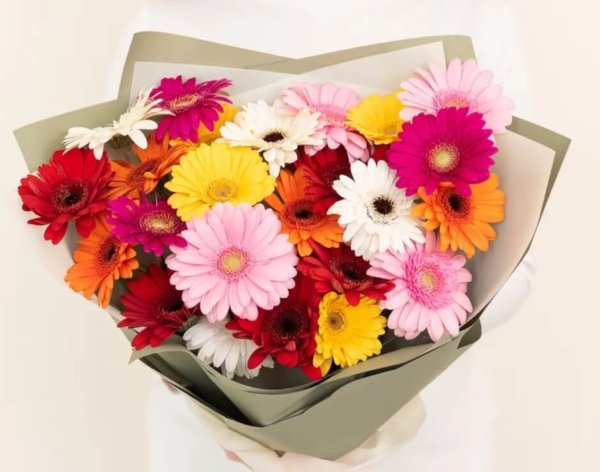 Assorted Gerbera