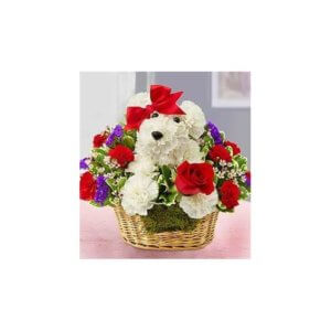 Love Pup - Lilac Flower Shop