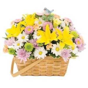 Sunshine Songbird Bouquet - Lilac Flower Shop