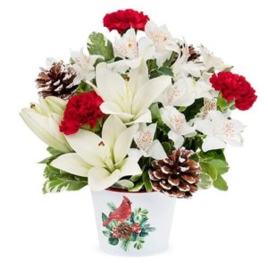 Christmas Cardinal Delight Flower Basket