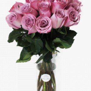18 Purple Roses - Lilac Flower Shop