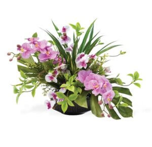 Stunning Orchid Flower Centerpiece from Lilac Flower Shop