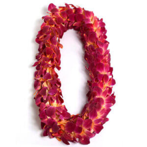 Orange Double Orchid Lei San Diego CA - Lilac Flower Shop