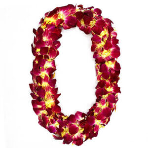 Yellow Double Orchid Lei San Diego CA - Lilac Flower Shop